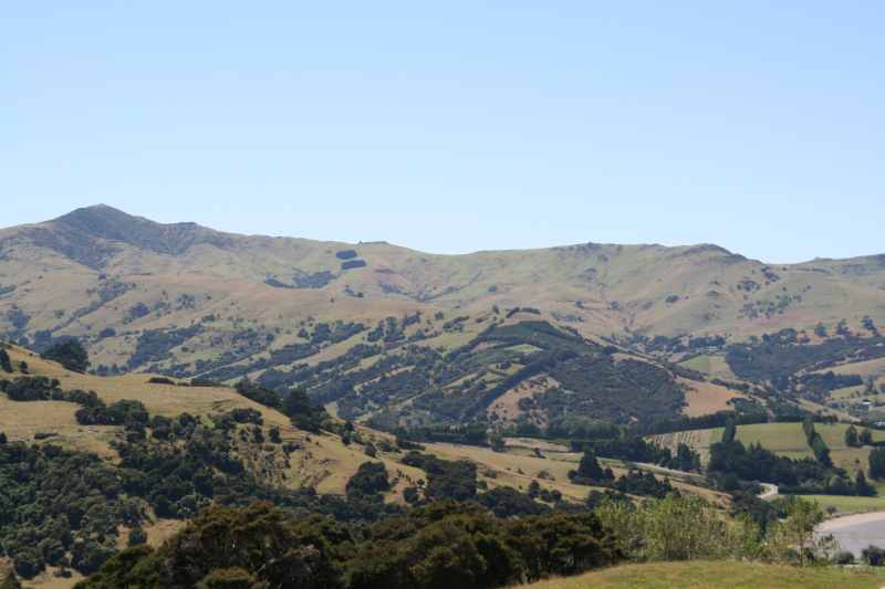 Nieuw-Zeeland 2011 - 2093